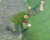mabinogi_2005_05_04_226.jpg (34656 �o�C�g)